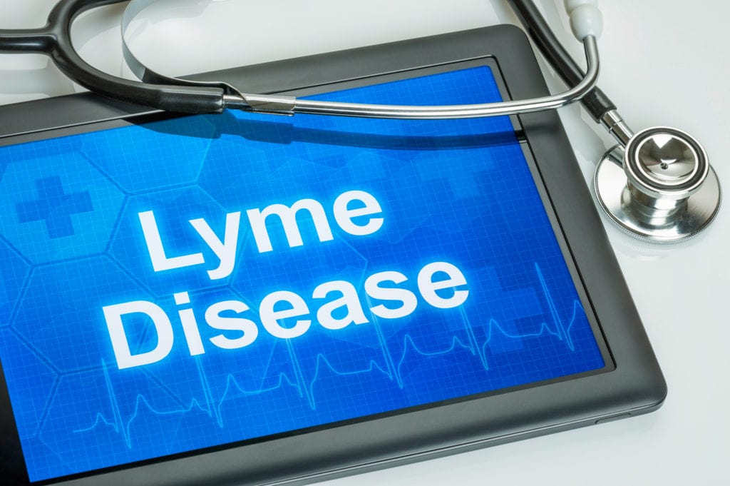 Tablet with the diagnosis Lyme Disease on the display